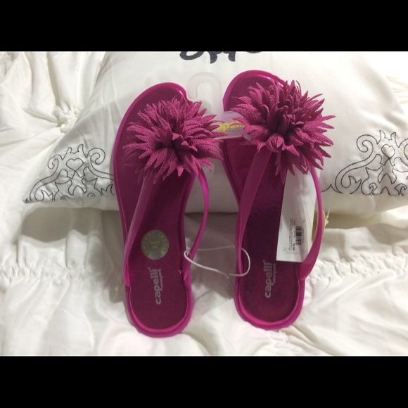 capelli new york flip flops